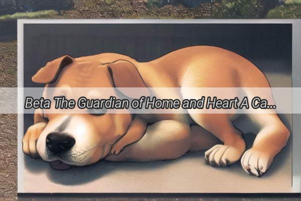 Beta The Guardian of Home and Heart A Canines Journey of Loyalty and Love